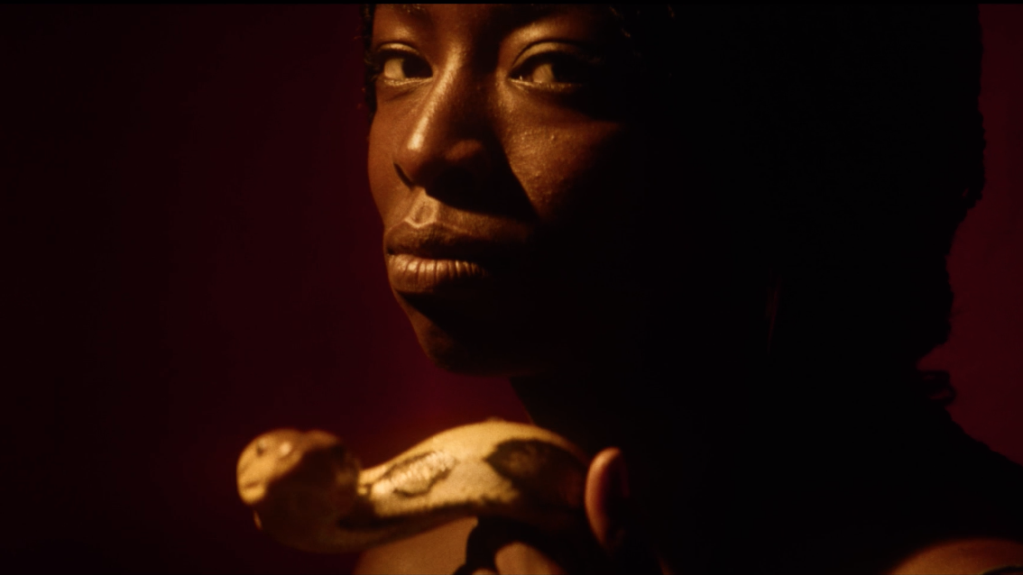 en-maria_lautrecougar_1-site-internet